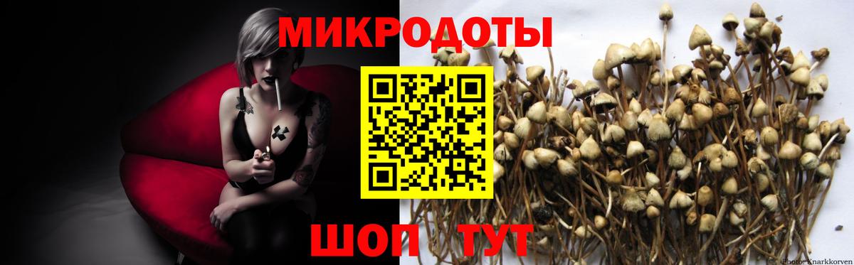 Псилоцибиновые грибы мицелий Десногорск
